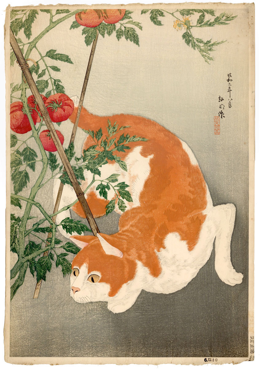 ArtofJapanTakahashiCat1200