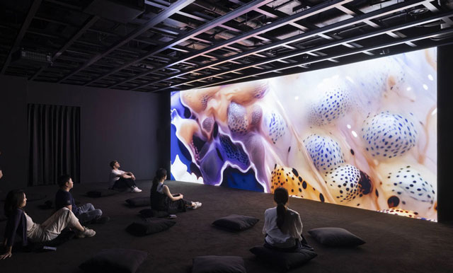 Make It an Artful Summer at the MFAH

