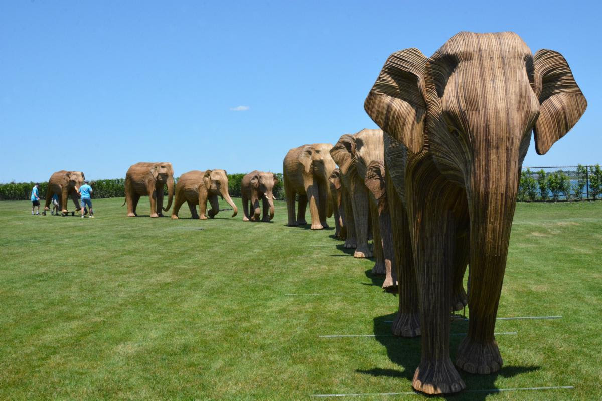 NewportElephantMarch1200