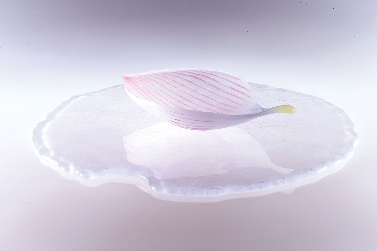 Onishi_Noda-Akiko_Tear-of-Lotus 