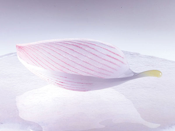 Onishi_Noda-Akiko_Tear-of-Lotus