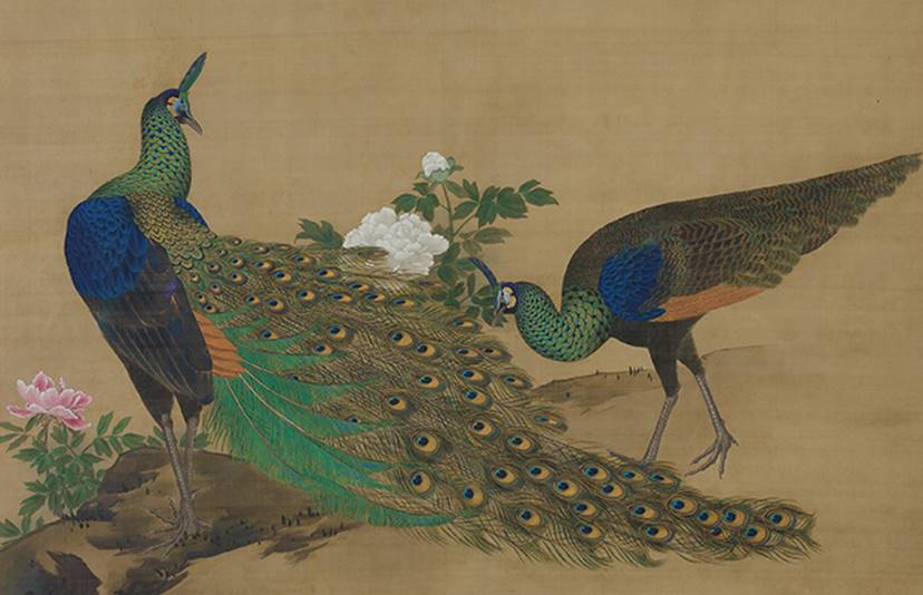Japanese Tastes in Chinese Ceramics - Exhibitions - Asian Art Museum